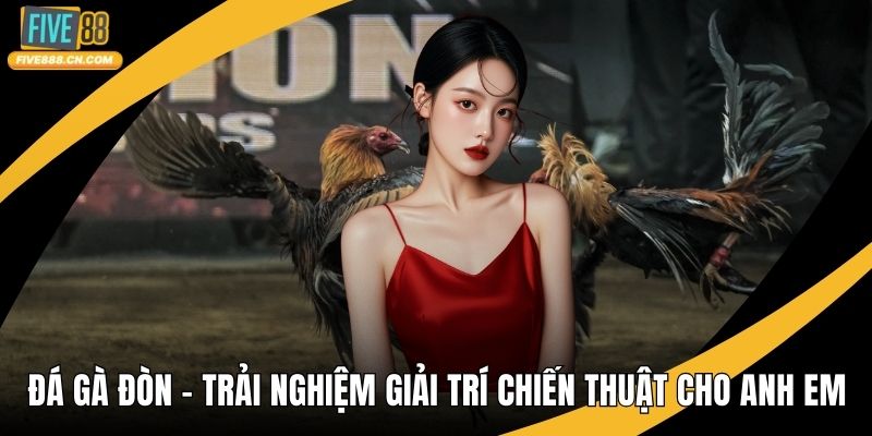 Đá Gà Đòn
