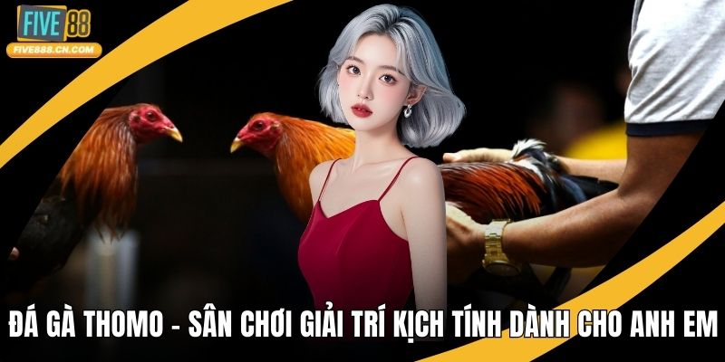 Đá Gà Thomo
