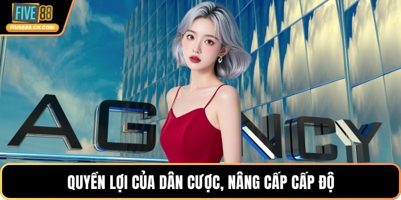 Quyền lợi của dân cược, nâng cấp cấp độ