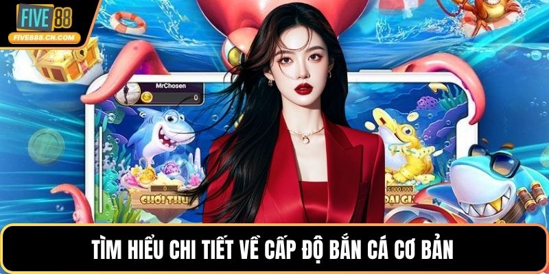 Tìm hiểu chi tiết về cấp độ bắn cá cơ bản 