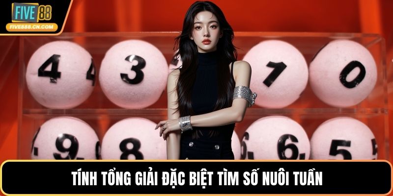 Tính tổng giải đặc biệt tìm số nuôi tuần